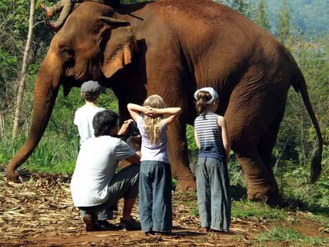 A Ganeshapark, rencontrer, accompagner, observer un éléphant