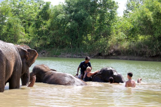 Elephant, Thaïlande, Ganeshapark