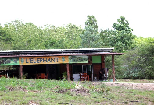 Elephant, Thaïlande, Ganeshapark