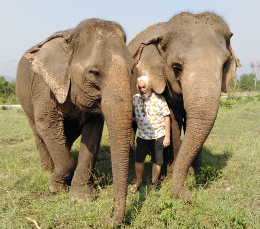 Entre deux éléphants Eléphant thérapeute