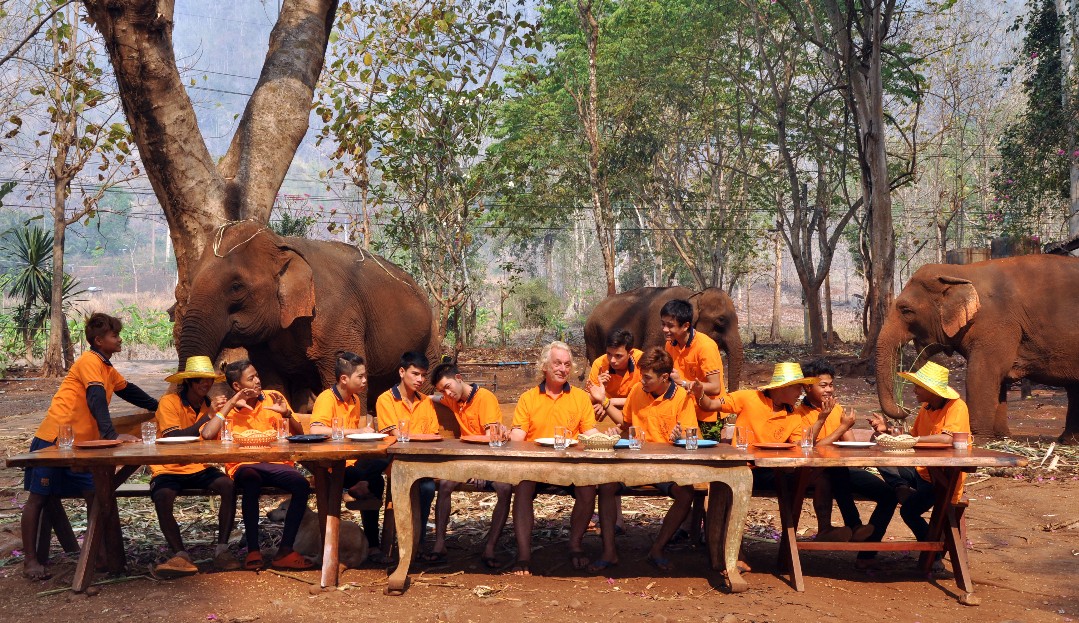 Elephant, Thaïlande, Ganeshapark